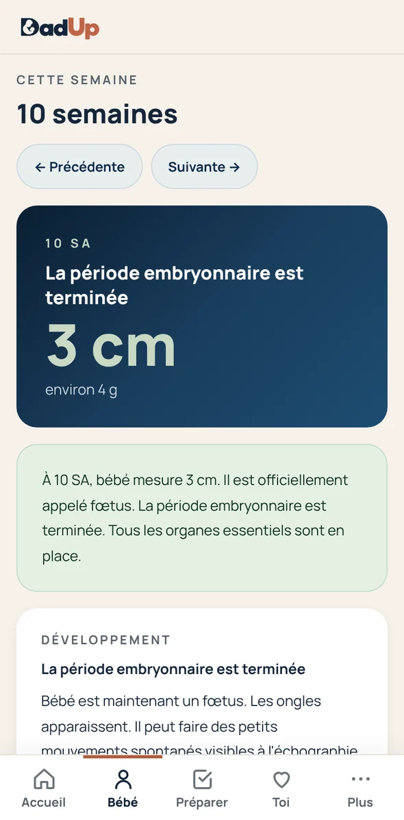 Écran Bébé de DadUp : le développement de bébé semaine après semaine